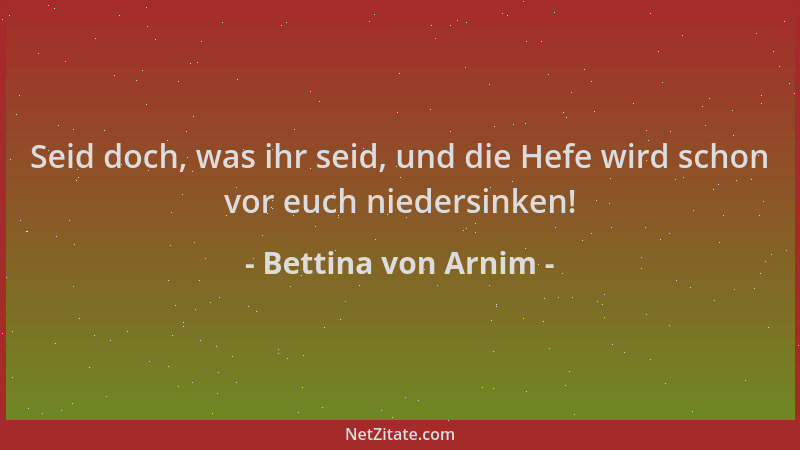 Bettina von Arnim - Seid doch, was ihr seid, und die Hefe wird schon vor euch niedersinken!...