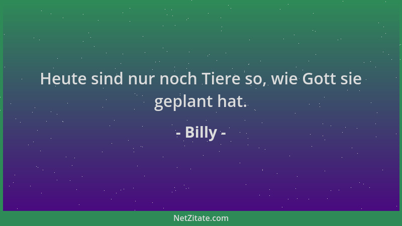 Billy - Heute sind nur noch Tiere so, wie Gott sie geplant hat....