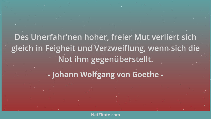 Johann Wolfgang von Goethe - Des Unerfahr 'nen hoher, freier Mut verliert sich gleich in Feigheit und Verzweiflung, wenn sic...