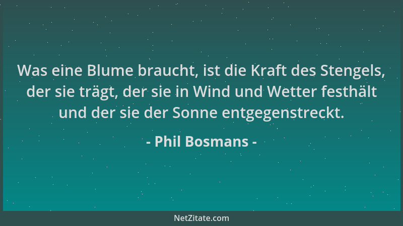 Phil Bosmans - Was eine Blume braucht, ist die Kraft des Stengels, der sie trägt, der sie in Wind und Wetter festhält und d...