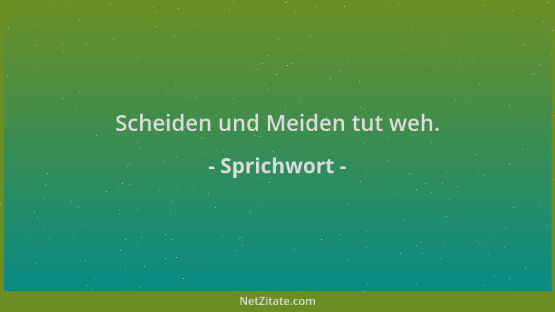 Sprichwort - Scheiden und Meiden tut weh....
