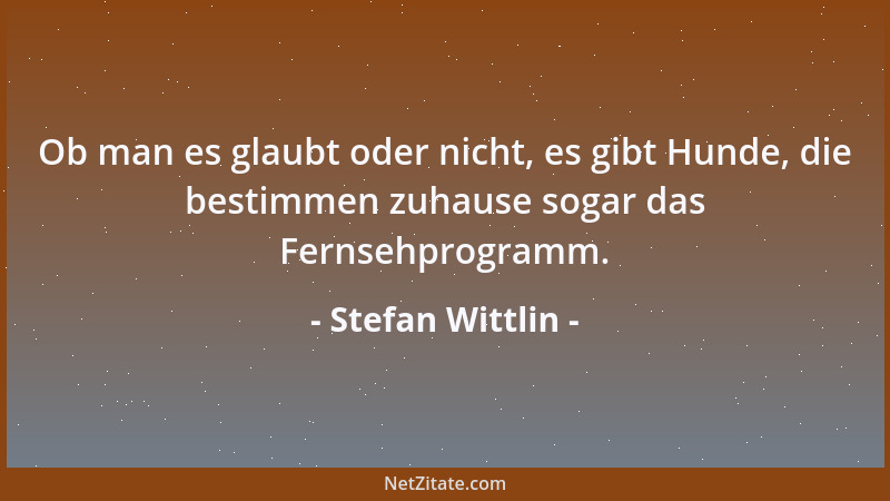 Stefan Wittlin - Ob man es glaubt oder nicht, es gibt Hunde, die bestimmen zuhause sogar das Fernsehprogramm....