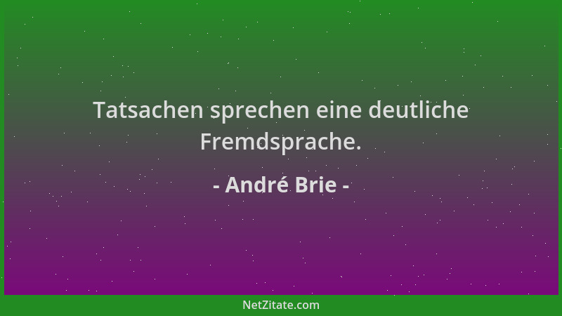 André Brie - Tatsachen sprechen eine deutliche Fremdsprache....