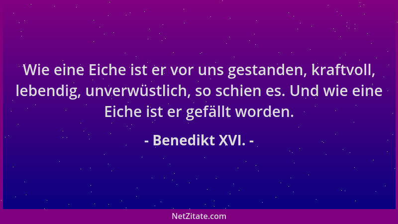 Benedikt XVI. - Wie eine Eiche ist er vor uns gestanden, kraftvoll, lebendig, unverwüstlich, so schien es. Und wie eine Eic...