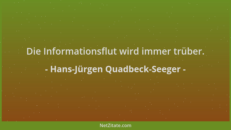 Hans-Jürgen Quadbeck-Seeger - Die Informationsflut wird immer trüber....