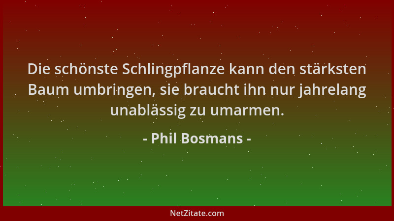 Phil Bosmans - Die schönste Schlingpflanze kann den stärksten Baum umbringen, sie braucht ihn nur jahrelang unablässig zu u...
