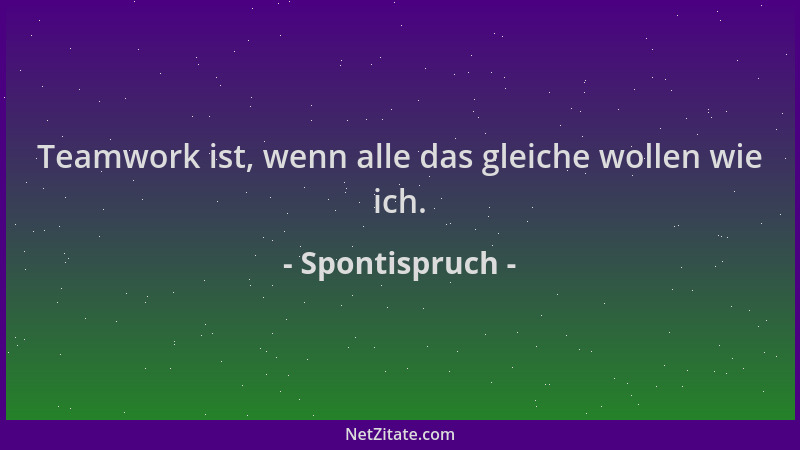 Spontispruch - Teamwork ist, wenn alle das gleiche wollen wie ich....