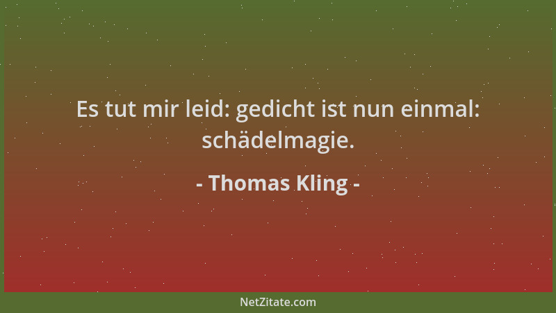 Thomas Kling - Es tut mir leid: gedicht ist nun einmal: schädelmagie....