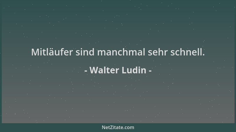Walter Ludin - Mitläufer sind manchmal sehr schnell....