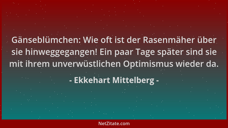 Ekkehart Mittelberg - Gänseblümchen: Wie oft ist der Rasenmäher über sie hinweggegangen! Ein paar Tage später sind sie mit...