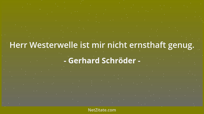 Gerhard Schröder - Herr Westerwelle ist mir nicht ernsthaft genug....