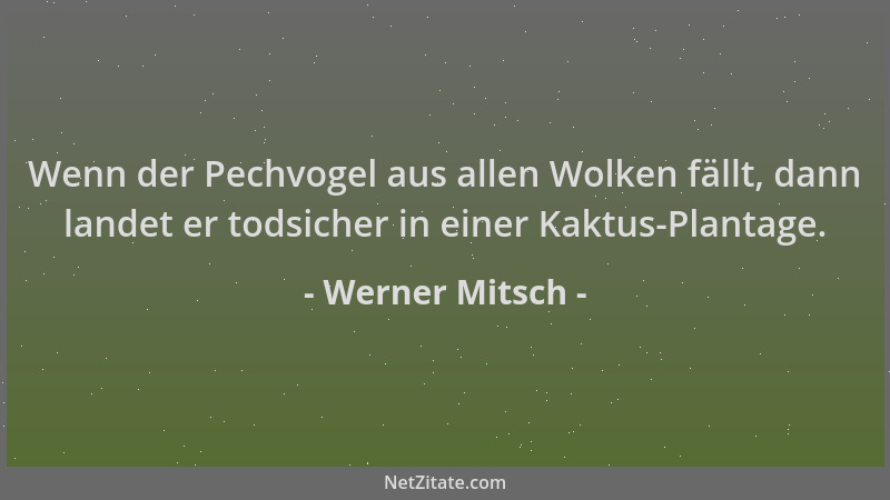 Werner Mitsch - Wenn der Pechvogel aus allen Wolken fällt, dann landet er todsicher in einer Kaktus-Plantage....