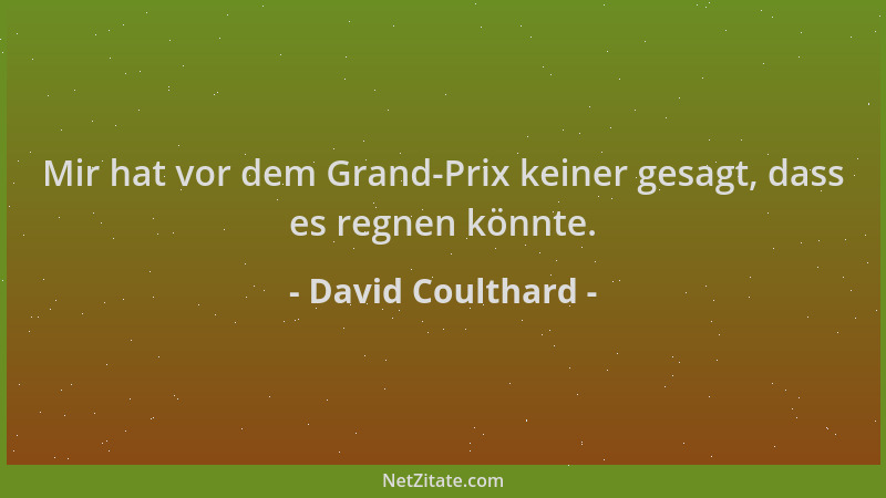 David Coulthard - Mir hat vor dem Grand-Prix keiner gesagt, dass es regnen könnte....