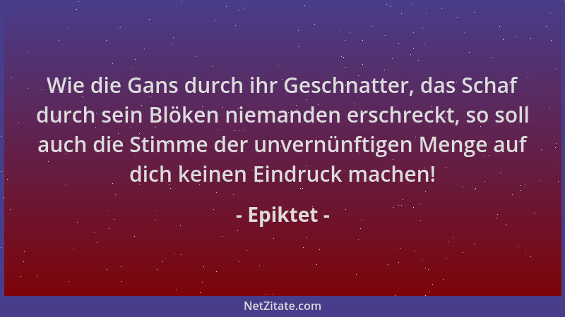 Epiktet - Wie die Gans durch ihr Geschnatter, das Schaf durch sein Blöken niemanden erschreckt, so soll auch die Stimme der...
