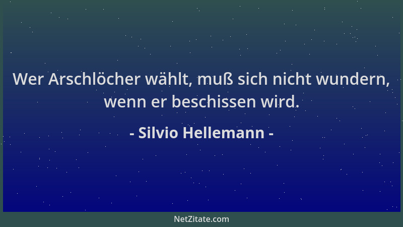 Silvio Hellemann - Wer Arschlöcher wählt, muß sich nicht wundern, wenn er beschissen wird....