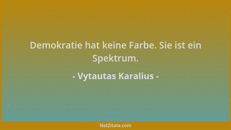 Vytautas Karalius - Demokratie hat keine Farbe. Sie ist ein Spektrum....