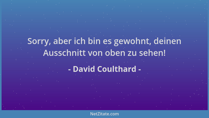 David Coulthard - Sorry, aber ich bin es gewohnt, deinen Ausschnitt von oben zu sehen!...