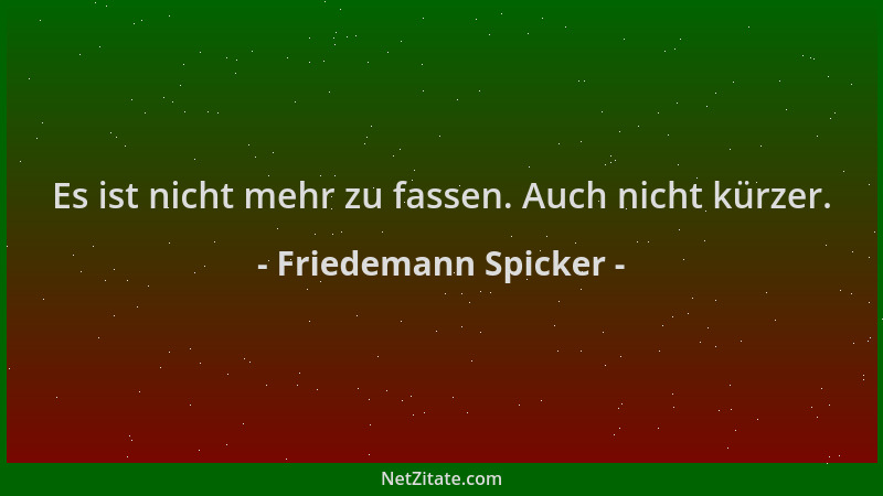 Friedemann Spicker - Es ist nicht mehr zu fassen. Auch nicht kürzer....