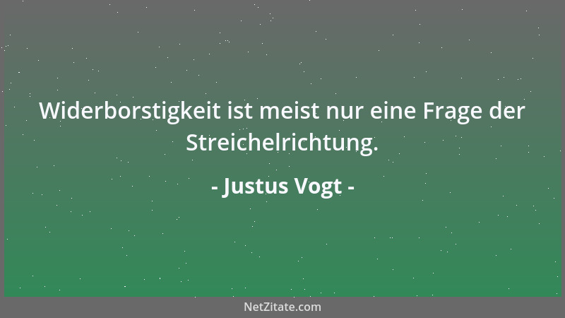 Justus Vogt - Widerborstigkeit ist meist nur eine Frage der Streichelrichtung....