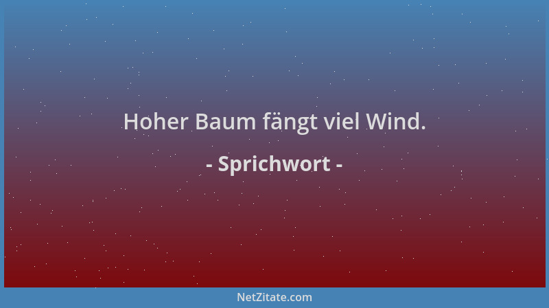 Sprichwort - Hoher Baum fängt viel Wind....