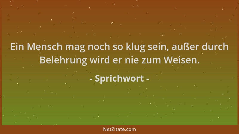 Sprichwort - Ein Mensch mag noch so klug sein, außer durch Belehrung wird er nie zum Weisen....