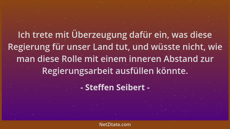 Steffen Seibert - Ich trete mit Überzeugung dafür ein, was diese Regierung für unser Land tut, und wüsste nicht, wie man di...