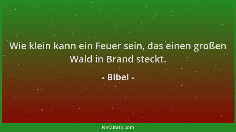 Bibel - Wie klein kann ein Feuer sein, das einen großen Wald in Brand steckt....