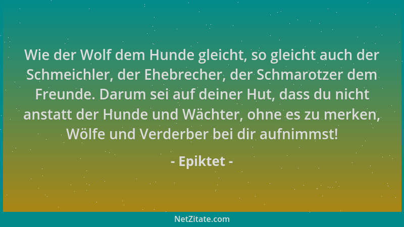 Epiktet - Wie der Wolf dem Hunde gleicht, so gleicht auch der Schmeichler, der Ehebrecher, der Schmarotzer dem Freunde. Dar...