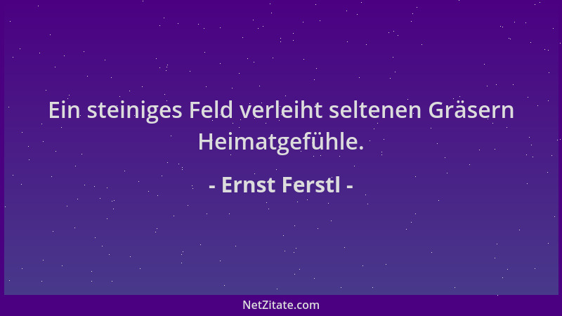 Ernst Ferstl - Ein steiniges Feld verleiht seltenen Gräsern Heimatgefühle....
