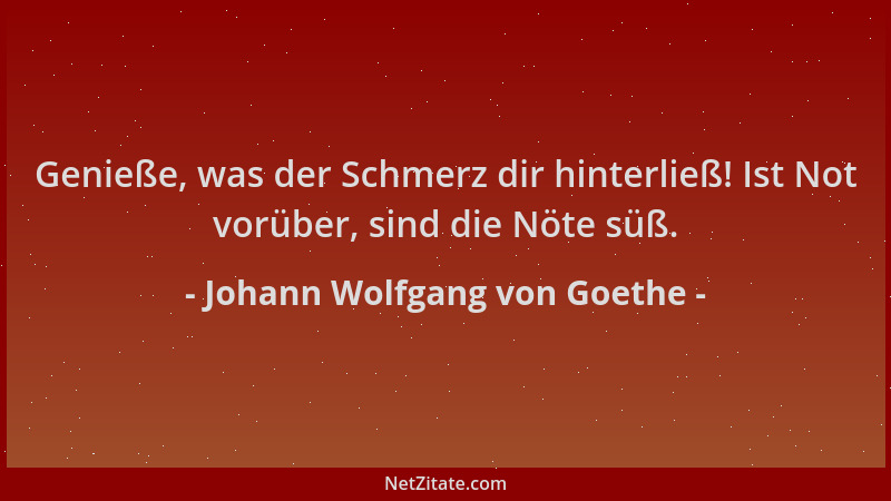 Johann Wolfgang von Goethe - Genieße, was der Schmerz dir hinterließ! Ist Not vorüber, sind die Nöte süß....
