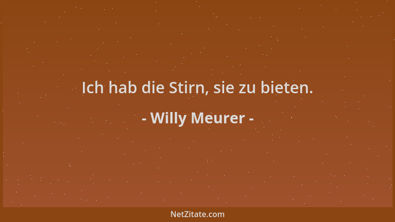 Willy Meurer - Ich hab die Stirn, sie zu bieten....