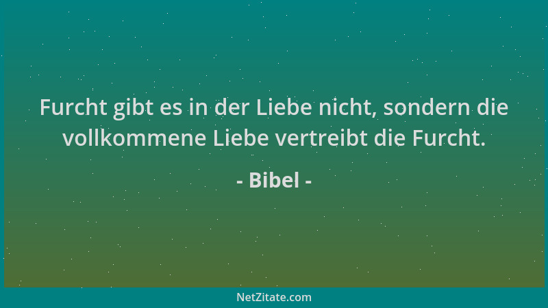 Bibel - Furcht gibt es in der Liebe nicht, sondern die vollkommene Liebe vertreibt die Furcht....