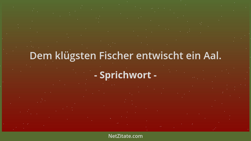Sprichwort - Dem klügsten Fischer entwischt ein Aal....