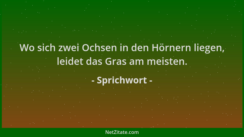 Sprichwort - Wo sich zwei Ochsen in den Hörnern liegen, leidet das Gras am meisten....