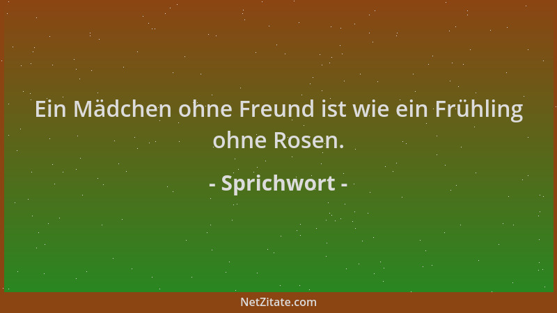 Sprichwort - Ein Mädchen ohne Freund ist wie ein Frühling ohne Rosen....