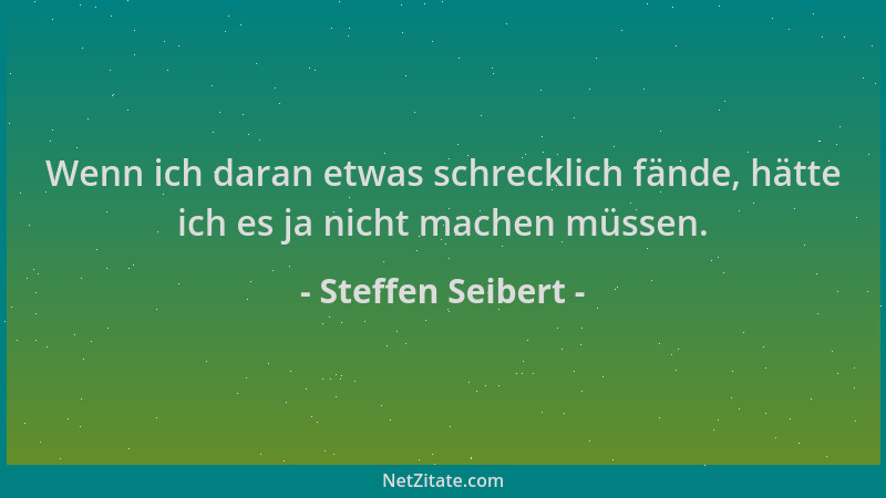 Steffen Seibert - Wenn ich daran etwas schrecklich fände, hätte ich es ja nicht machen müssen....