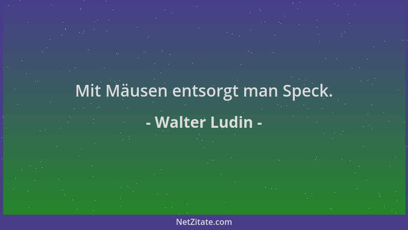 Walter Ludin - Mit Mäusen entsorgt man Speck....