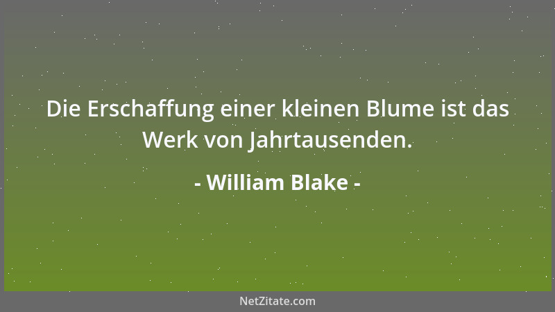 William Blake - Die Erschaffung einer kleinen Blume ist das Werk von Jahrtausenden....