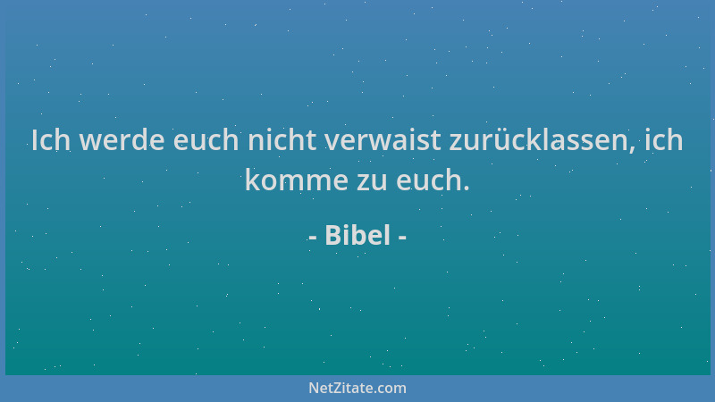 Bibel - Ich werde euch nicht verwaist zurücklassen, ich komme zu euch....