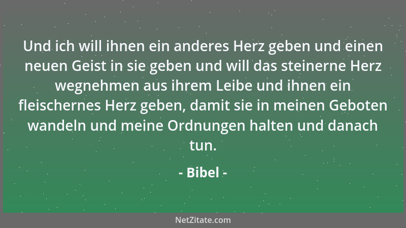 Bibel - Diesen Jesus hat Gott auferweckt; dessen sind wir alle Zeugen....