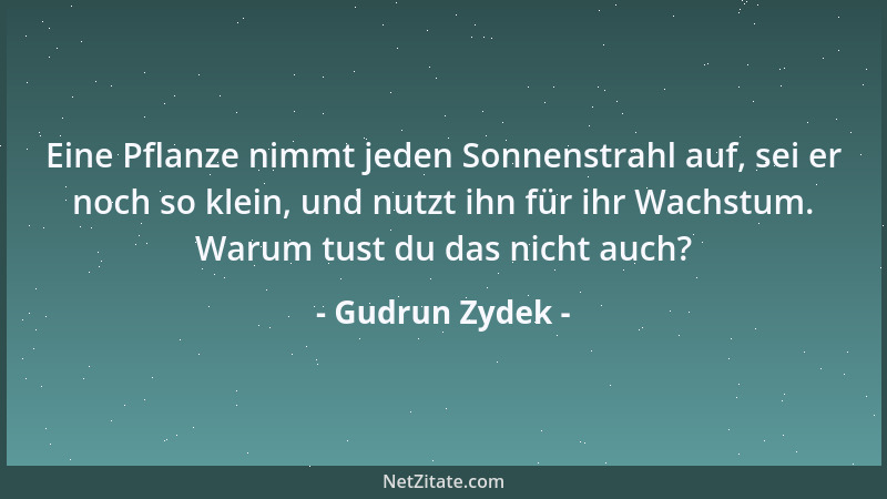 Gudrun Zydek - Eine Pflanze nimmt jeden Sonnenstrahl auf, sei er noch so klein, und nutzt ihn für ihr Wachstum. Warum tust...