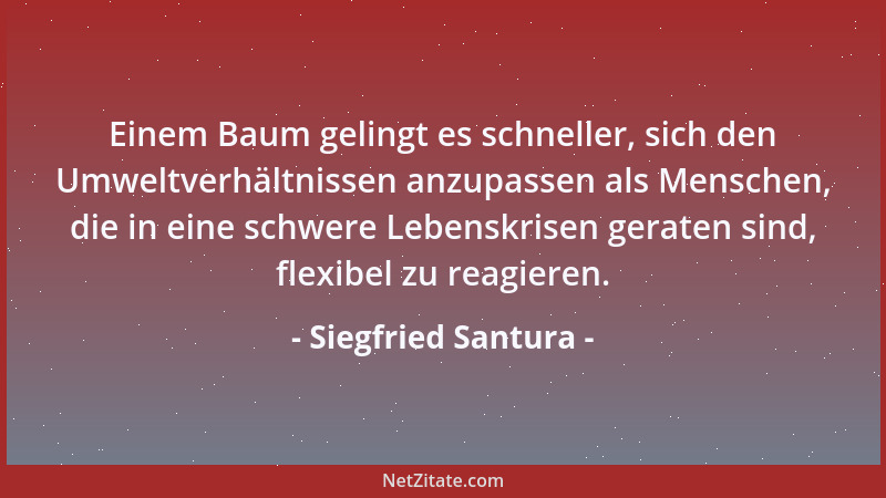 Siegfried Santura - Einem Baum gelingt es schneller, sich den Umweltverhältnissen anzupassen als Menschen, die in eine schw...