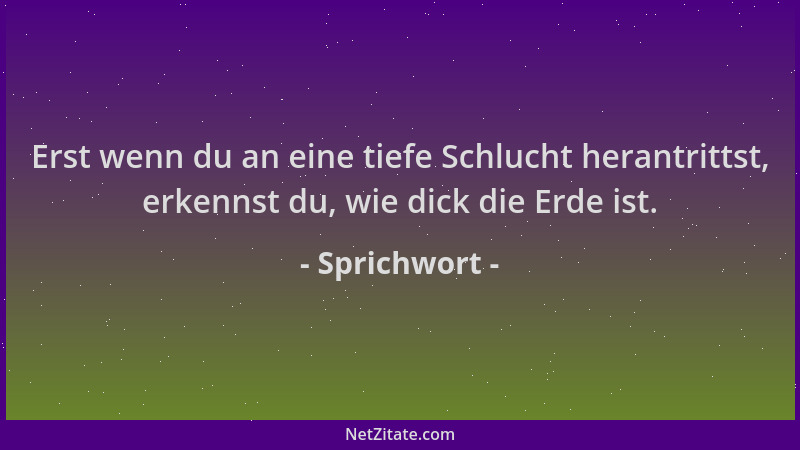Sprichwort - Erst wenn du an eine tiefe Schlucht herantrittst, erkennst du, wie dick die Erde ist....