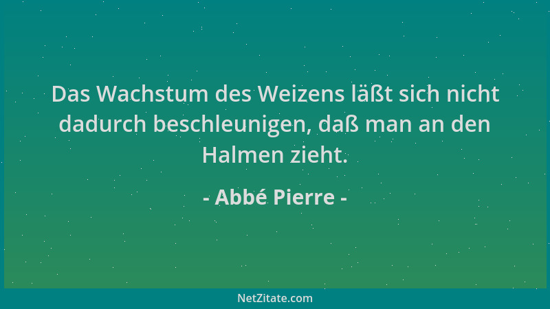 Abbé Pierre - Das Wachstum des Weizens läßt sich nicht dadurch beschleunigen, daß man an den Halmen zieht....