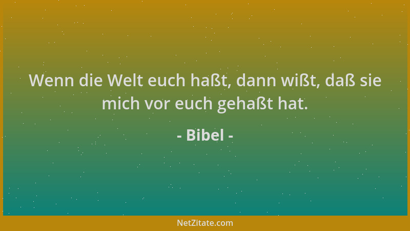 Bibel - Wenn die Welt euch haßt, dann wißt, daß sie mich vor euch gehaßt hat....