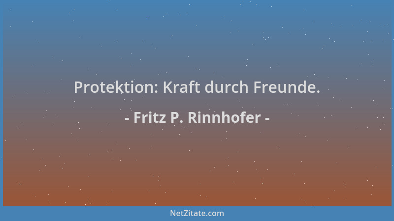 Fritz P. Rinnhofer - Protektion: Kraft durch Freunde....