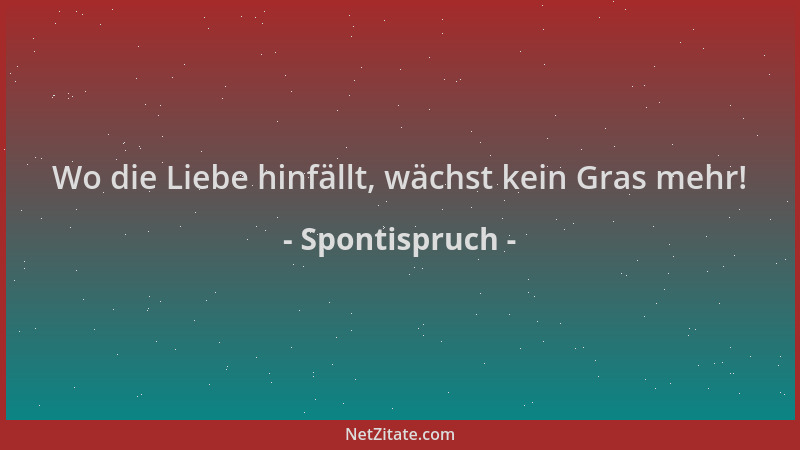 Spontispruch - Wo die Liebe hinfällt, wächst kein Gras mehr!...