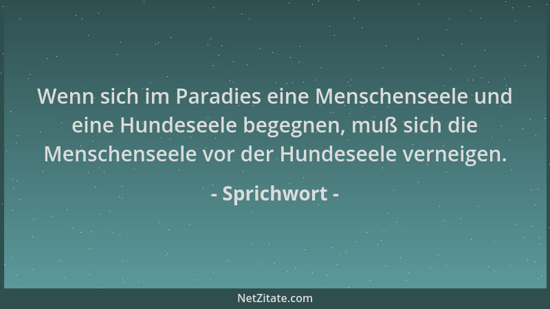 Sprichwort - Wenn sich im Paradies eine Menschenseele und eine Hundeseele begegnen, muß sich die Menschenseele vor der Hund...