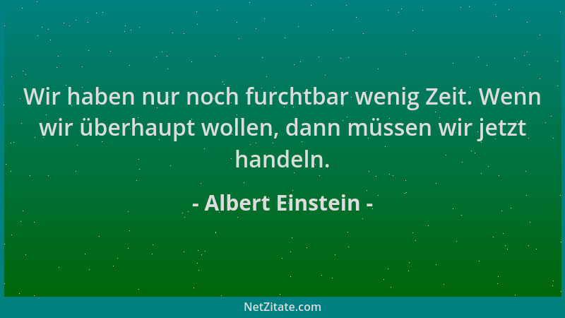 Albert Einstein - Wir haben nur noch furchtbar wenig Zeit. Wenn wir überhaupt wollen, dann müssen wir jetzt handeln....