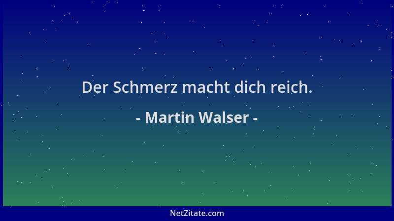 Martin Walser - Der Schmerz macht dich reich....